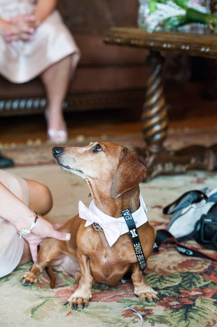 A Fairytale Farm Wedding at Stonewall Farm - New Jersey Bride