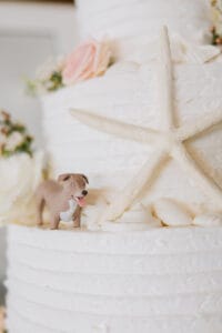 Kristine and DJ DeBenedict's wedding