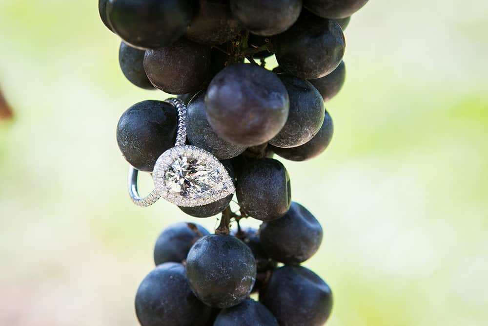 Taylor-John-Proposal