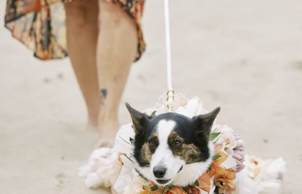 Palm Trees and Tiki Bars Created a Tropical Style Wedding at the Shore