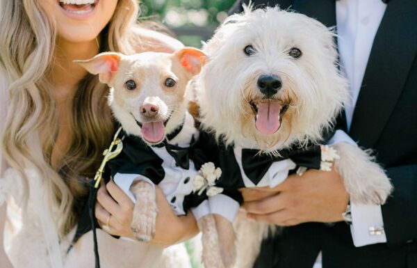Pink, Gold and Plenty of Style at This Renault Winery Wedding
