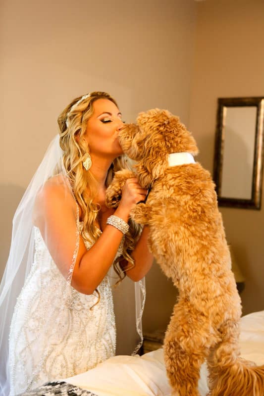 Bride with her puppy on her wedding day