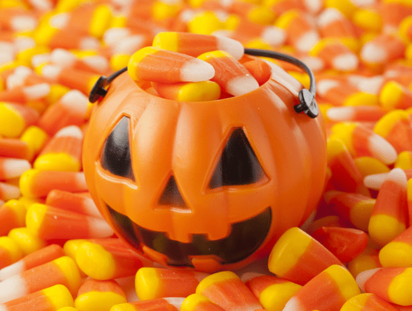 Halloween Themed Wedding Tips - New Jersey Bride
