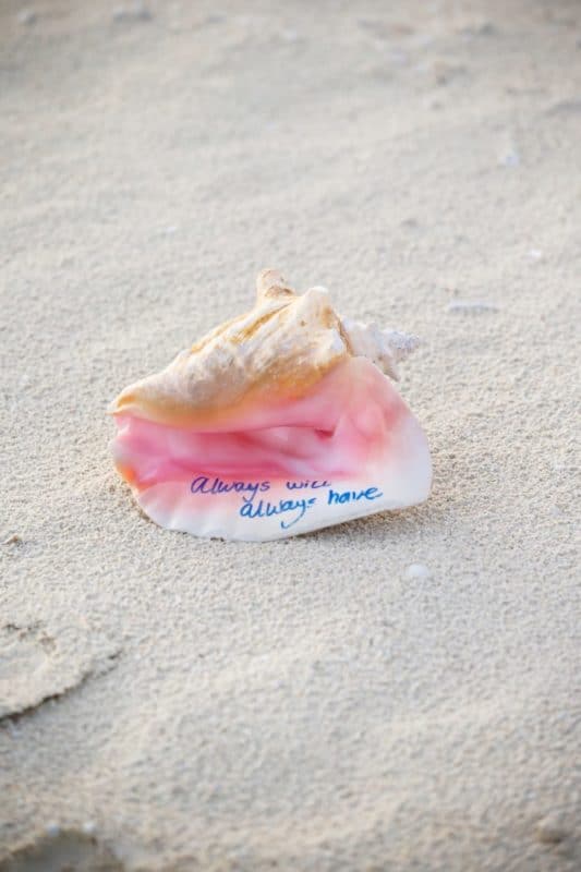 Seashell from beach proposal