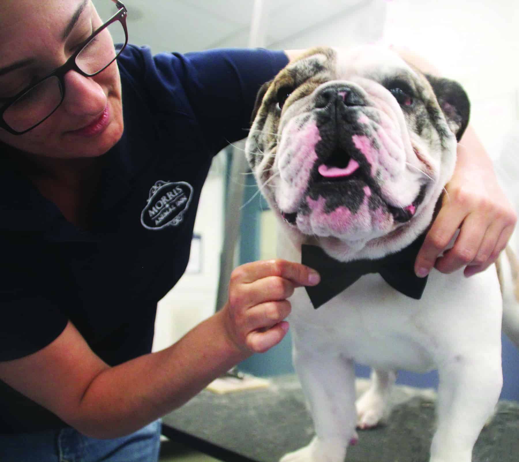 Morris-Animal-Inn-Pet-Escort