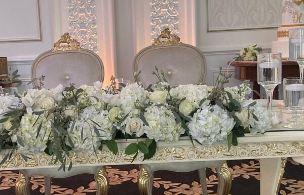 Macaluso’s Gallery 19