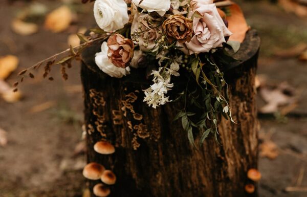 This Wedding Had a Beautiful Outdoor Setting Complete With On-Site Cabins