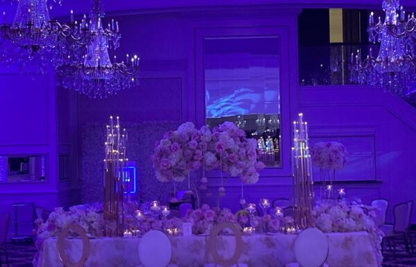 Macaluso’s Gallery 0