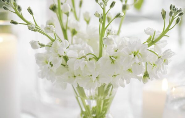 Spring Lake Provided a Beautiful—and Meaningful—Backdrop for This Wedding