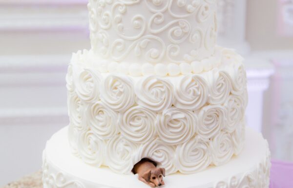 Calandra’s Bakery Gallery 31