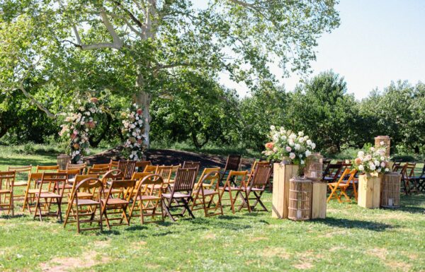 A Garden Party Gallery 2