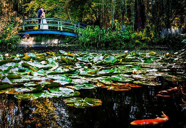 Venues Listing Category Grounds for Sculpture