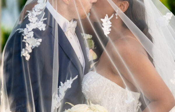 A Romantic and Elegant Ballroom Wedding With Blush Florals