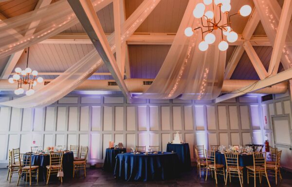 Liberty House Gallery 1