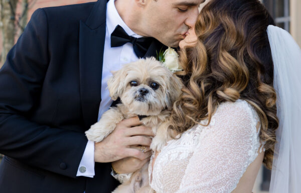 The wedding of “Hints of Gold in Everything” at This Natirar Wedding Gallery 6