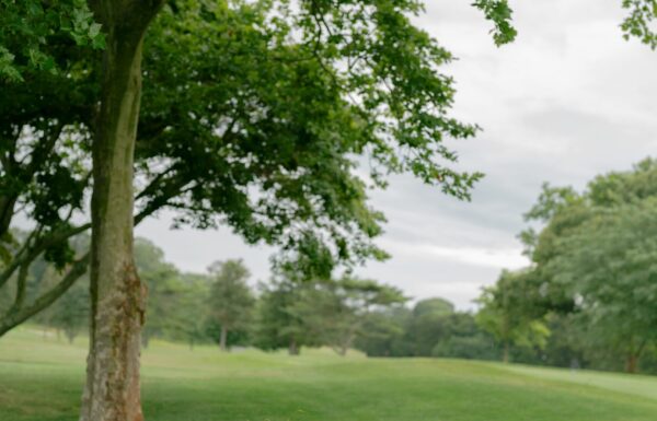 The wedding of This Wedding Photographer’s Big Day Had a Coastal-Chic Vibe Gallery 13