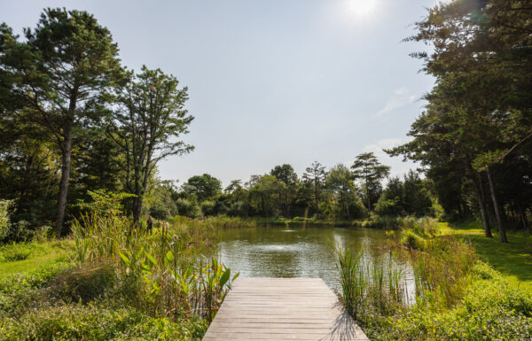The Farm On Main Gallery 7