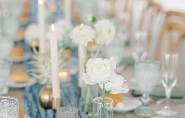 The wedding of A Tented Vineyard Wedding With a Whimsical Aesthetic Gallery 0