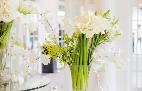 Shadowbrook at Shrewsbury Gallery 5