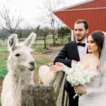 This Couple Took Cute Photos With Llamas at Their Fall Farm Wedding