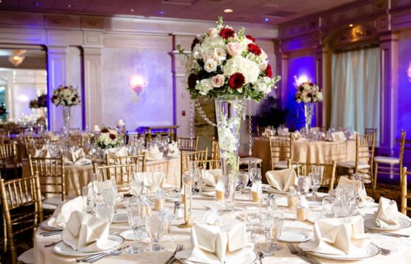 il Tulipano Gallery 6