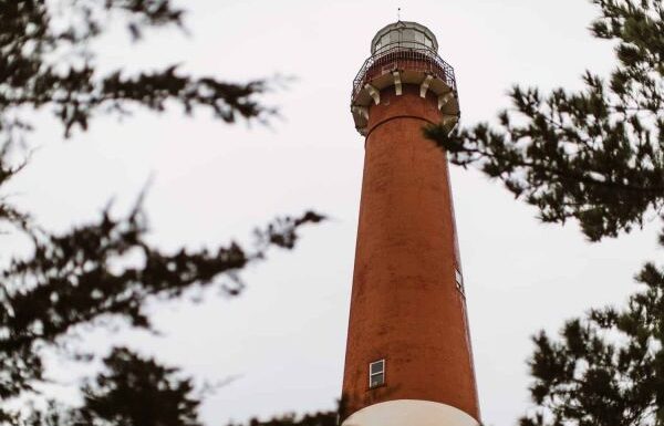 Daymark Bar & Restaurant Gallery 1