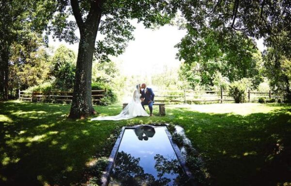 Crossed Keys Estate Gallery 2