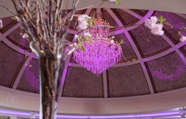 Grand Marquis Gallery 24