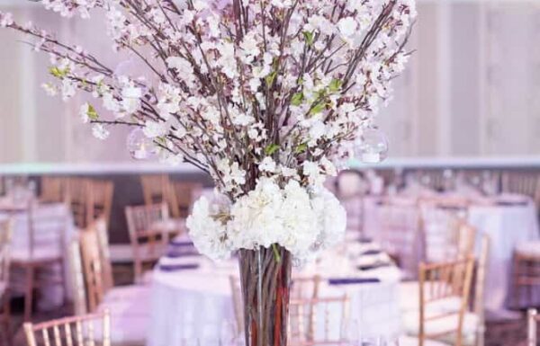 Grand Marquis Gallery 26