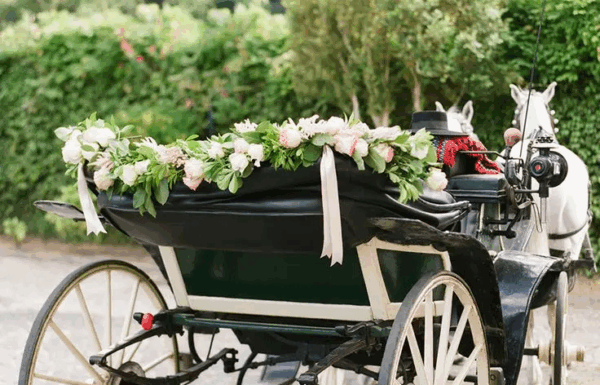 A-1 Limousine Gallery 2