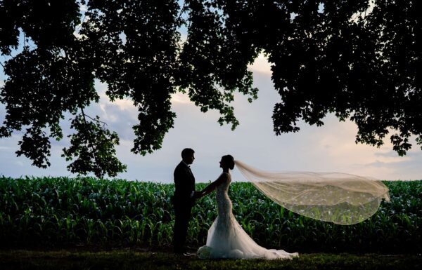 Hotel du Village Gallery 4