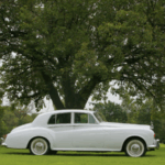 New Jersey Bride