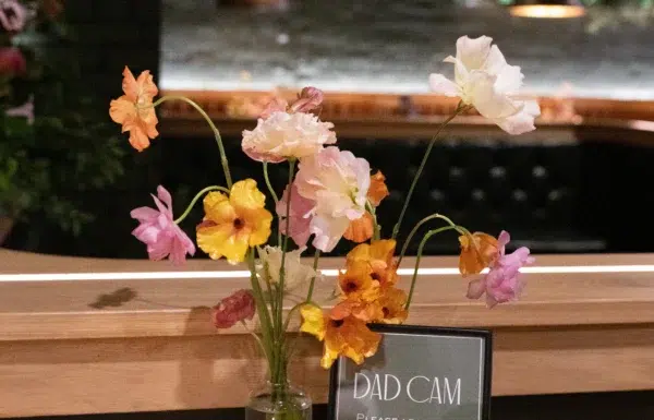 The wedding of What Happens When a Wedding Planner Gets Married? A Reception at a Bar. Gallery 2