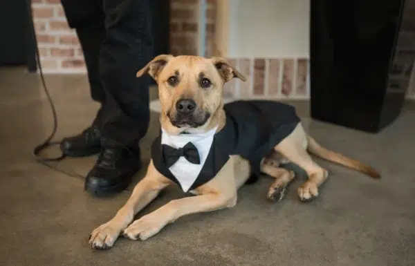 Rustic Farm Meets Contemporary Flair at This Stunning Fall Wedding