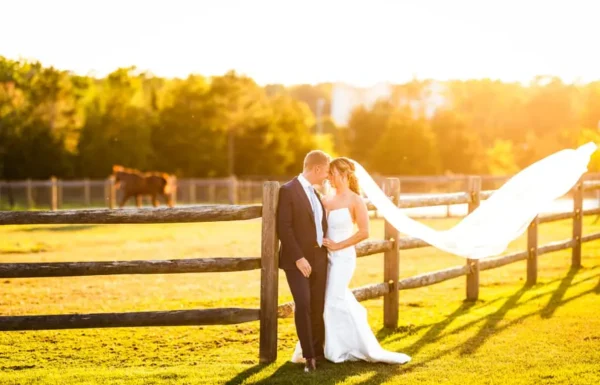 The Farm On Main Gallery 24