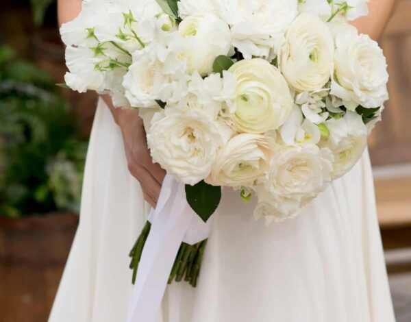 Flowers Listing Category Viburnum Designs