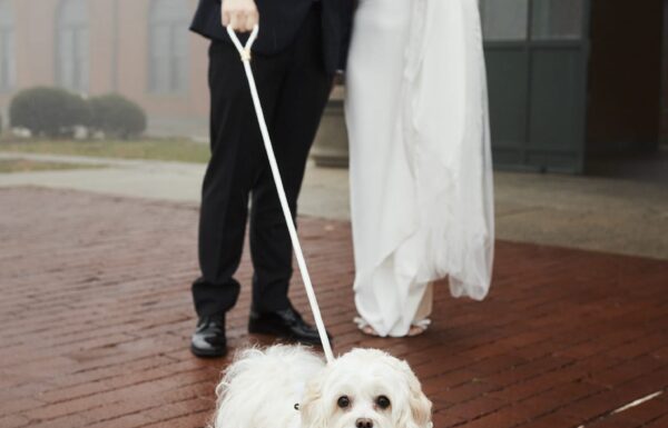 A Chic New Year’s Eve Wedding in Jersey City