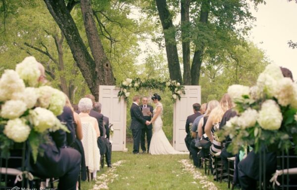 Details Category Vendor ViburnumDesigns