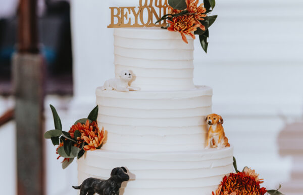 Alexis & Michael at Hamilton Manor