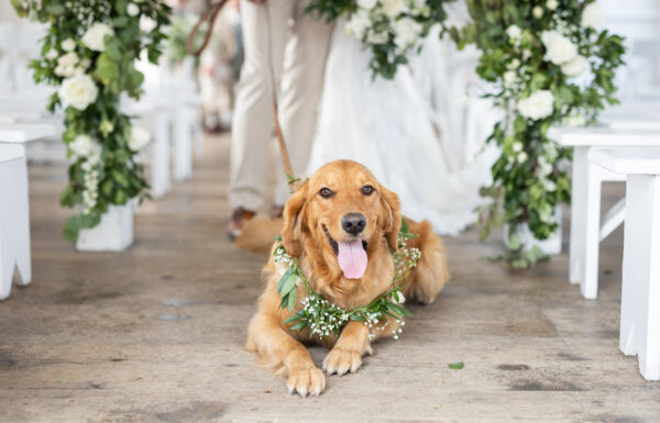 The wedding of This Shore-Loving Couple Had a Sea Glass Seating Chart at Their Wedding Gallery 4