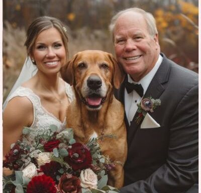 New Jersey Pet Concierge Gallery 4