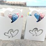 New Jersey Bride