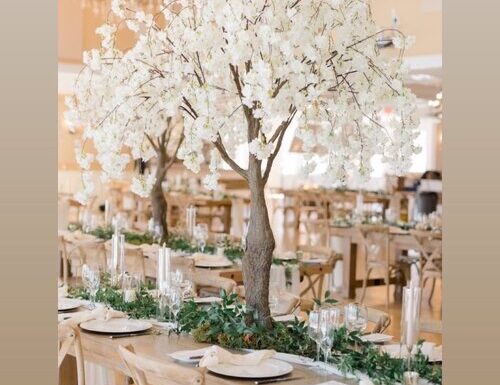 Peonies to Paint Chips Gallery 1