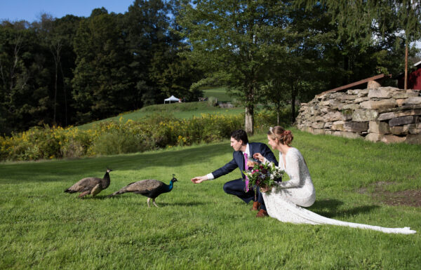 A wedding at Quarry Hill Farm.