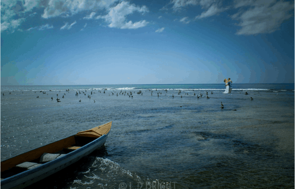 L.D. Bright Photography Gallery 1
