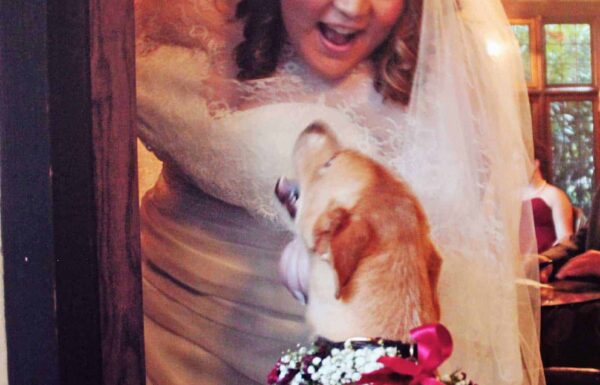 Morris Animal Inn Gallery 2