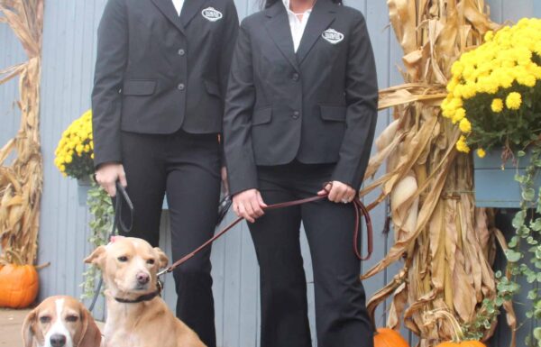 Morris Animal Inn Gallery 3