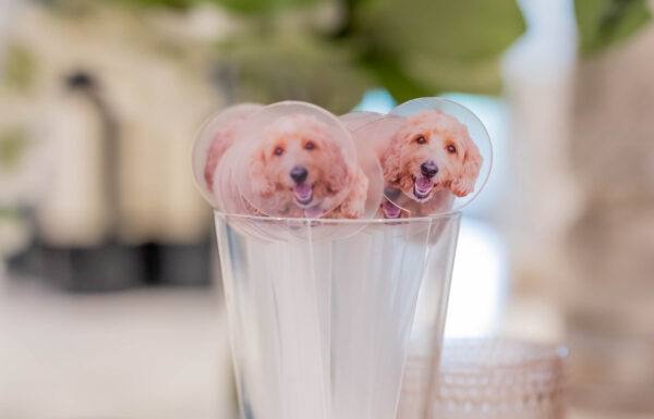 The wedding of A Coastal-Chic Wedding at a Dreamy Waterfront Property A beautiful wedding at ICONA Avalon in New Jersey. Gallery 5