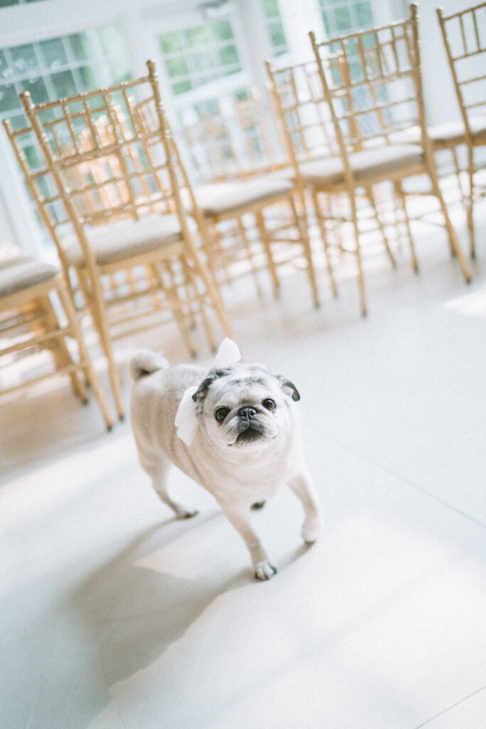 A wedding at the Estate at Florentine Gardens in River Vale, New Jersey.