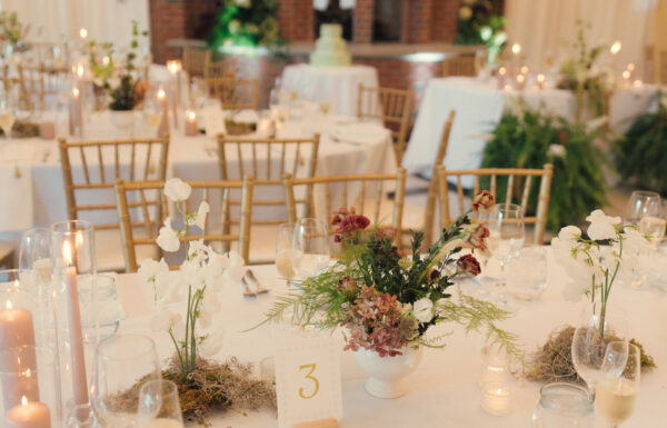 A wedding at the Albion Summit.